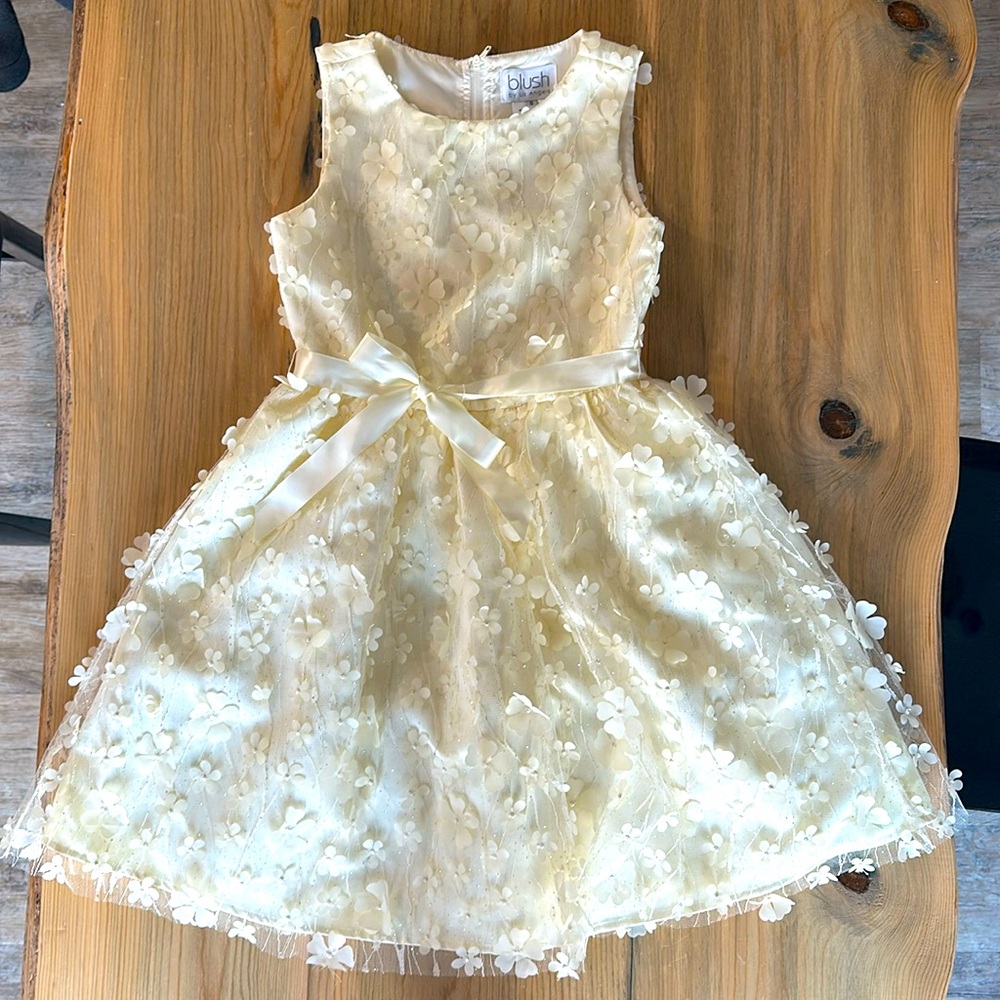 BLUSH by Us Angels Girls Appliqué Mesh Dress